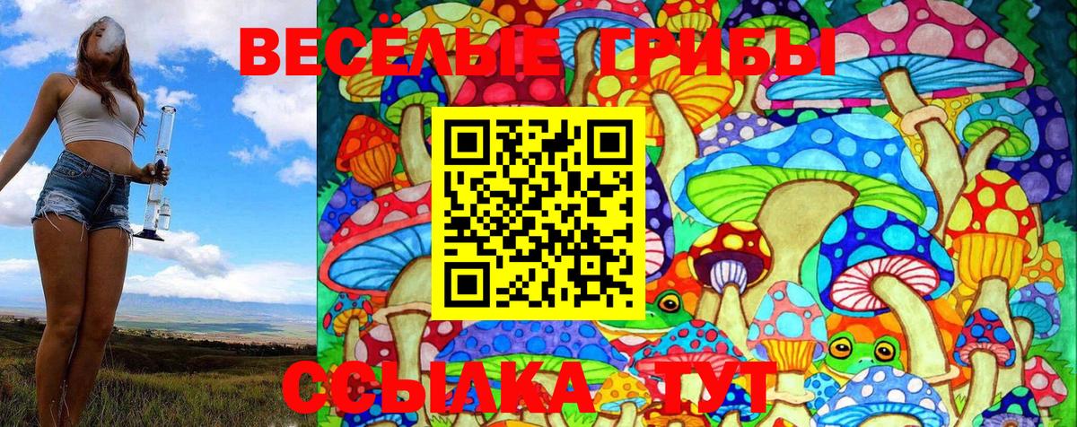 Галлюциногенные грибы Psilocybine cubensis  Вход с VPN  Галлюциногенные грибы ЛСД  Киселёвск 
